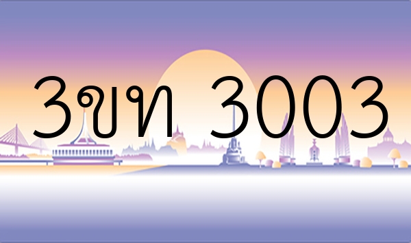 3ขท 3003